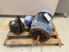 Pacer Pump