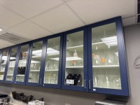 Lot Contents of Lab Cabinets
