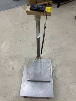 Platform Scale