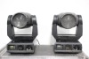 Lot (2) Martin MAC 2000 Wash Moving Head Lights in Wheeled Case