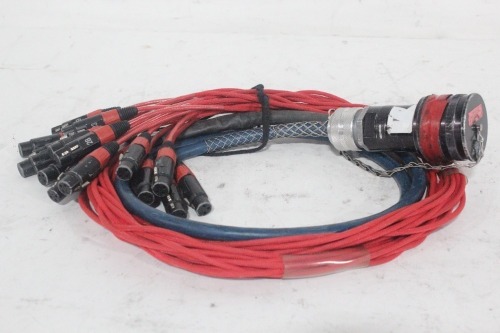 10' - Whirlwind W5IRP 48-Pin MicroMass Inline Crimp Connector to (16) Fan Out XLR 3-Pin Female Connectors