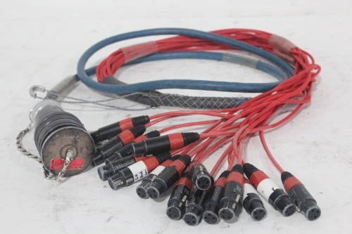 10' Audio Cable - Whirlwind W5IRP 48-Pin MicroMass Inline Crimp Connector to (16) Fan Out XLR 3-Pin Female Connectors