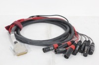 5' - Whirlwind DBF2-FM-010 Fanout Cable w/ (4) XLR AES Input Connectors and (4) XLR AES Output Connectors