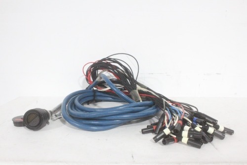 35' - Whirlwind W4IRP 176-Pin Mass Inline Crimp Connectors to (34) Fanout 3-Pin XLR Connectors