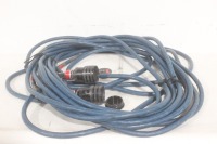 100' Whirlwind W4IRP- W4IRP 176-Pin Mass Inline Crimp Connectors