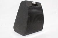 Radian Audio Engineering RMW-1122 2" Passive Stage Monitor Speaker