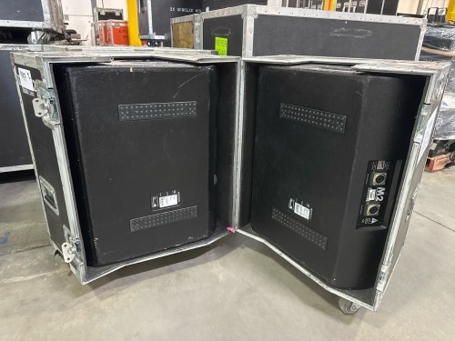 D&B Audiotechnik M2 Monitor Speakers w/ Case