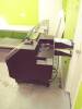 Roland Printer/Cutter - 7
