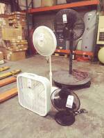 Assorted Fans