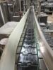Stainless Steel Belt Conveyor - 6