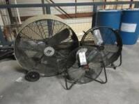 Fans