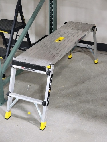 Gorilla Ladder