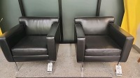 Leather Guest Chairs
