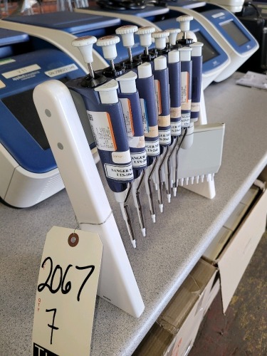 (7) Assorted Rainin Pipettes w/ Stand