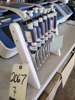 (7) Assorted Rainin Pipettes w/ Stand