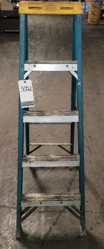 Werner 5-Step Ladder
