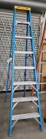Werner 8' Step Ladder