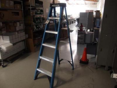 Werner 6ft Ladder