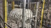 Partial Flooring Line - 11