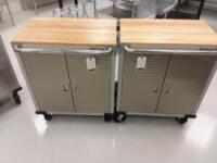 Lot of (2) 2 Door Cabinets on Wheels w/ Contents