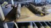 Drill Subs - 4