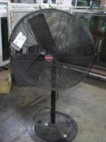 Assorted Pedestal Shop Fans