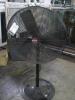 Assorted Pedestal Shop Fans