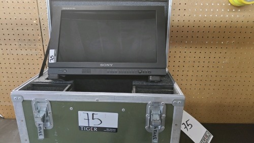 Sony 17" PVM-A170 OLED Monitor