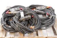 50 FT 100 Amp Extensions