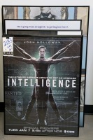Professionally Framed Movie Posters