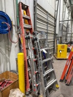 8-Step & Multi-Position Ladders
