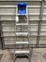 Werner 6-Step Ladder