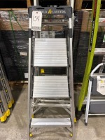 Assorted Ladders & Step Stool