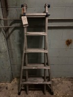 Werner Multi-Position Ladder