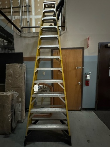 Werner 12-Step Ladder
