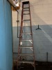 Werner 10-Step Ladder