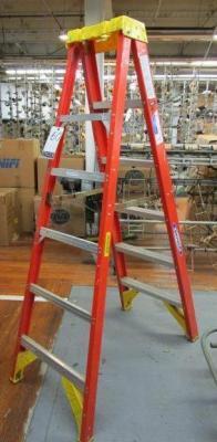 Werner Fiberglass Ladder