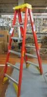 Werner Fiberglass Ladder