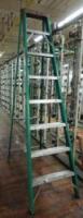 Lynn Fiberglass Ladder