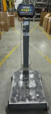 Fairbanks Digital Scale