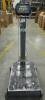 Fairbanks Digital Scale