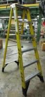 Werner Fiberglass Ladder