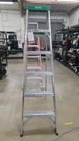 Werner 356 6' Aluminum Step Ladder
