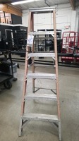 Werner 6' Aluminum Step Ladder