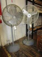 Pedestal Fans