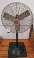 Pedestal Fan
