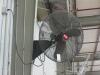 Dayton 30in Quiet Design Oscillating Wall Mount Fans