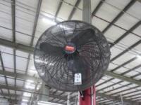 Dayton 30in Quiet Design Oscillating Wall Mount Fans