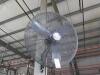 Dayton 30in Quiet Design Oscillating Wall Mount Fans - 4