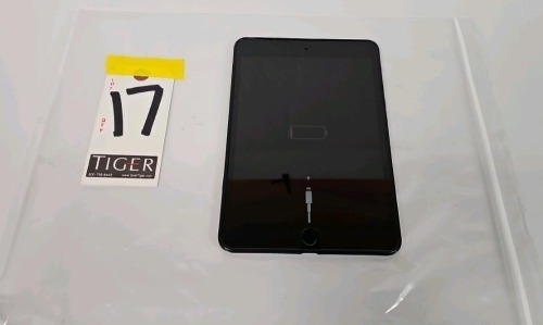 iPad Mini 4